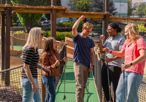 Miniature Golf